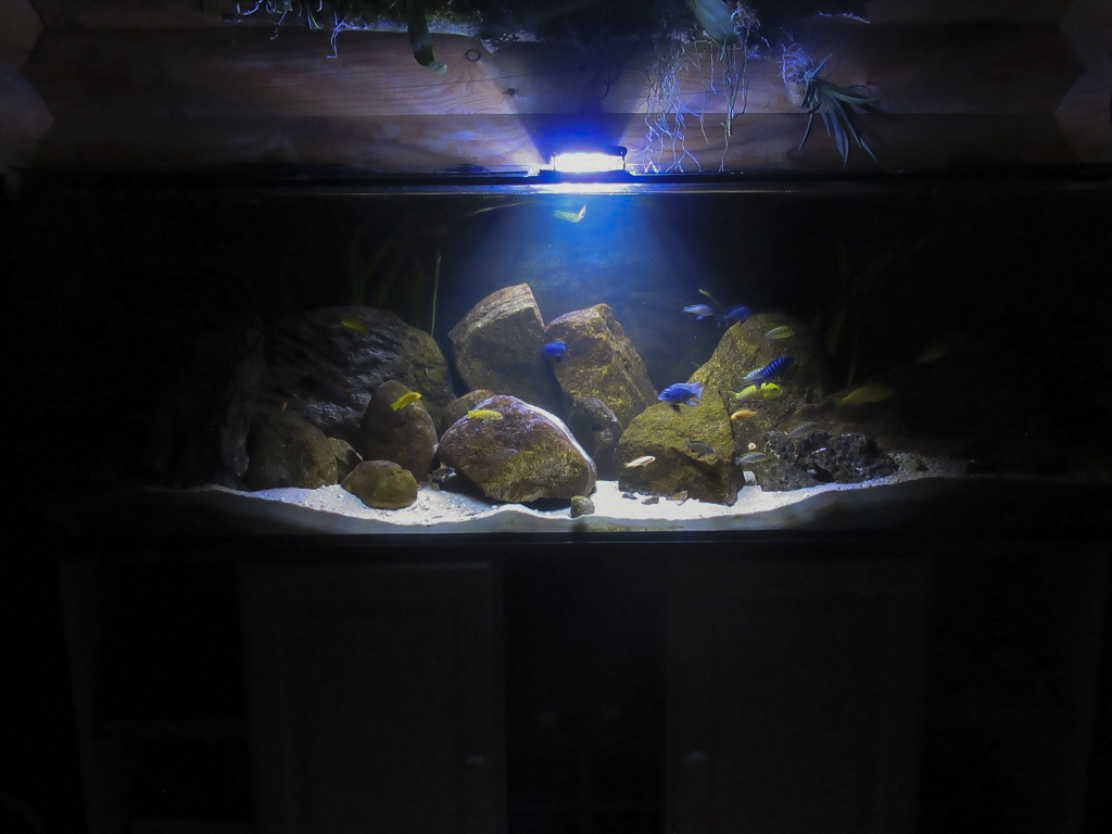 Aquarium