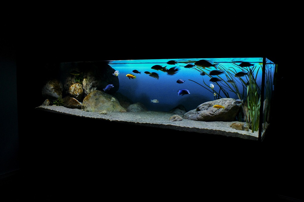 Aquarium