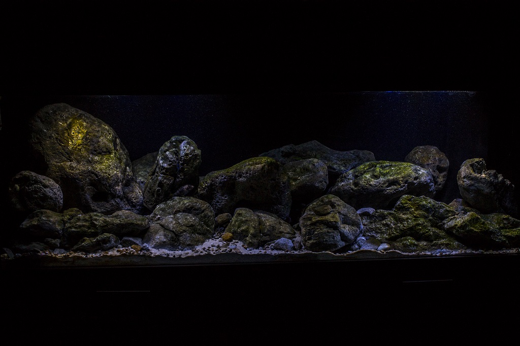 Aquarium