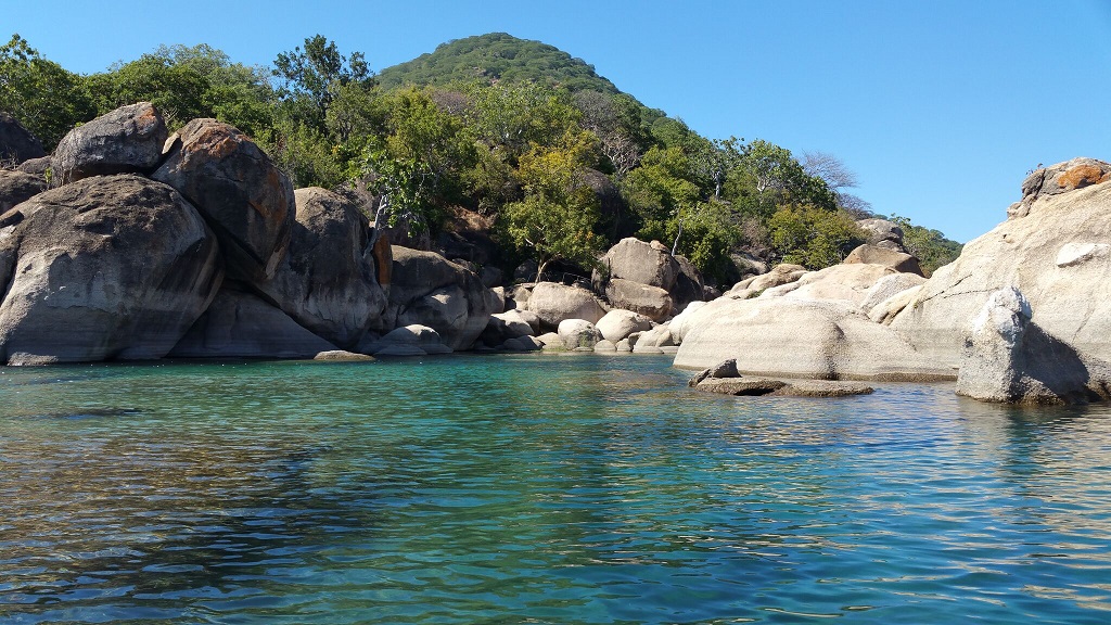 CapeMacLear Kueste Otterpoint